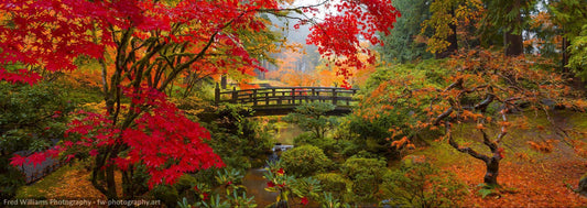 Autumn Zen Garden
