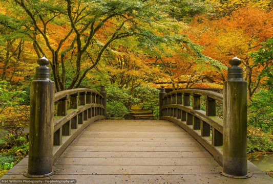 Bridge of Reflection