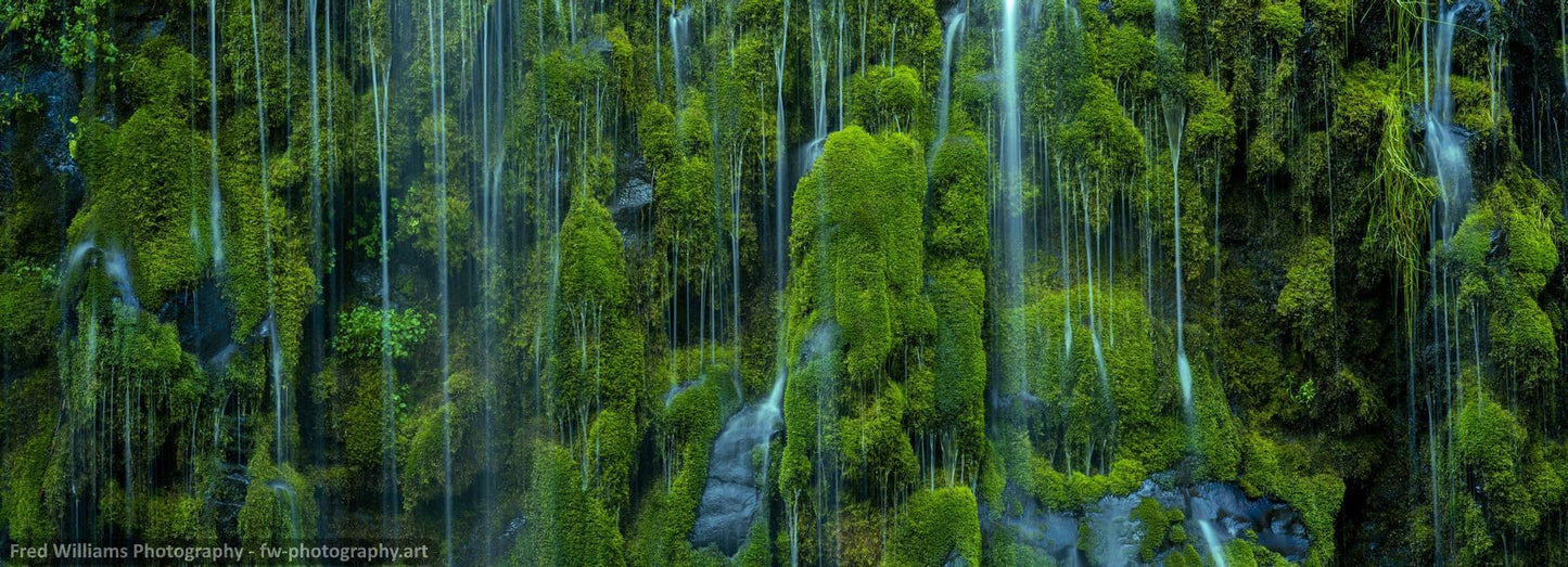 Mossy Flow