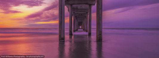 Purple Pier